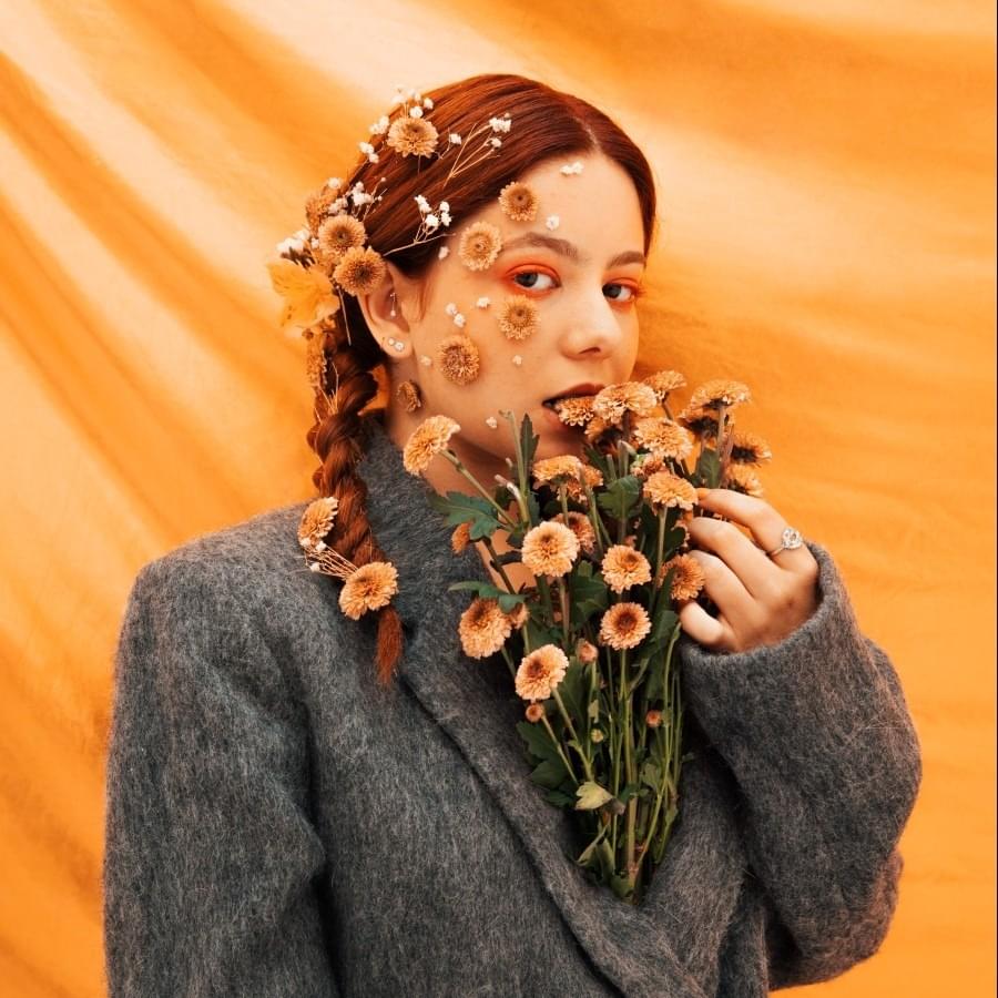 Cover image for Bárbara Tinoco