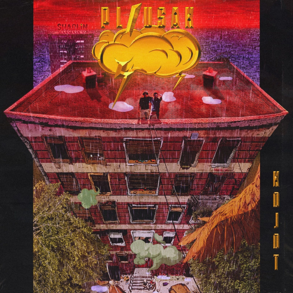 Cover image for Pljusak