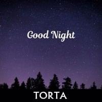 Album cover art for "Good Night" by T One Guy
