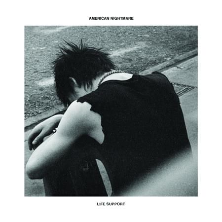 Album cover art for "Life Support" by American Nightmare