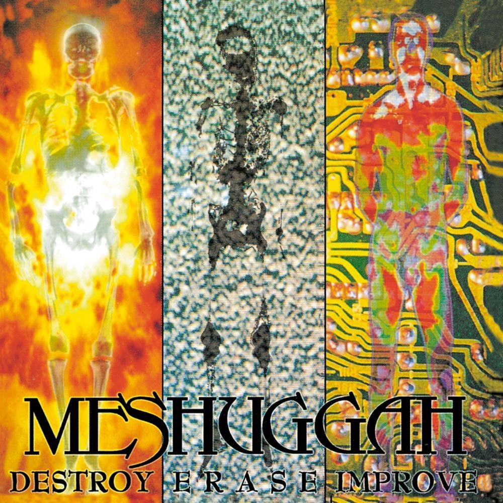 Album cover art for "Sublevels" by Meshuggah
