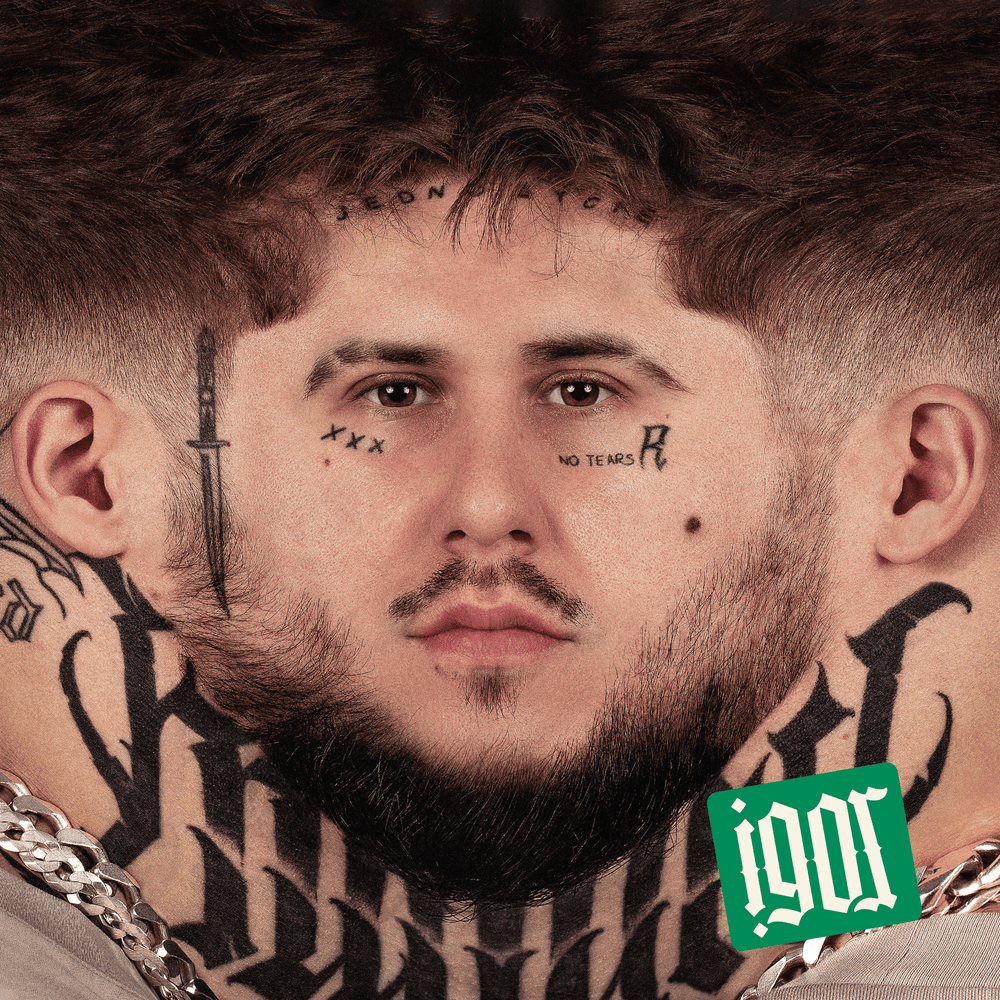 Cover image for IGOR