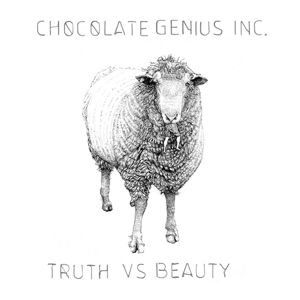 A Brief Record of My Employment History by Chocolate Genius