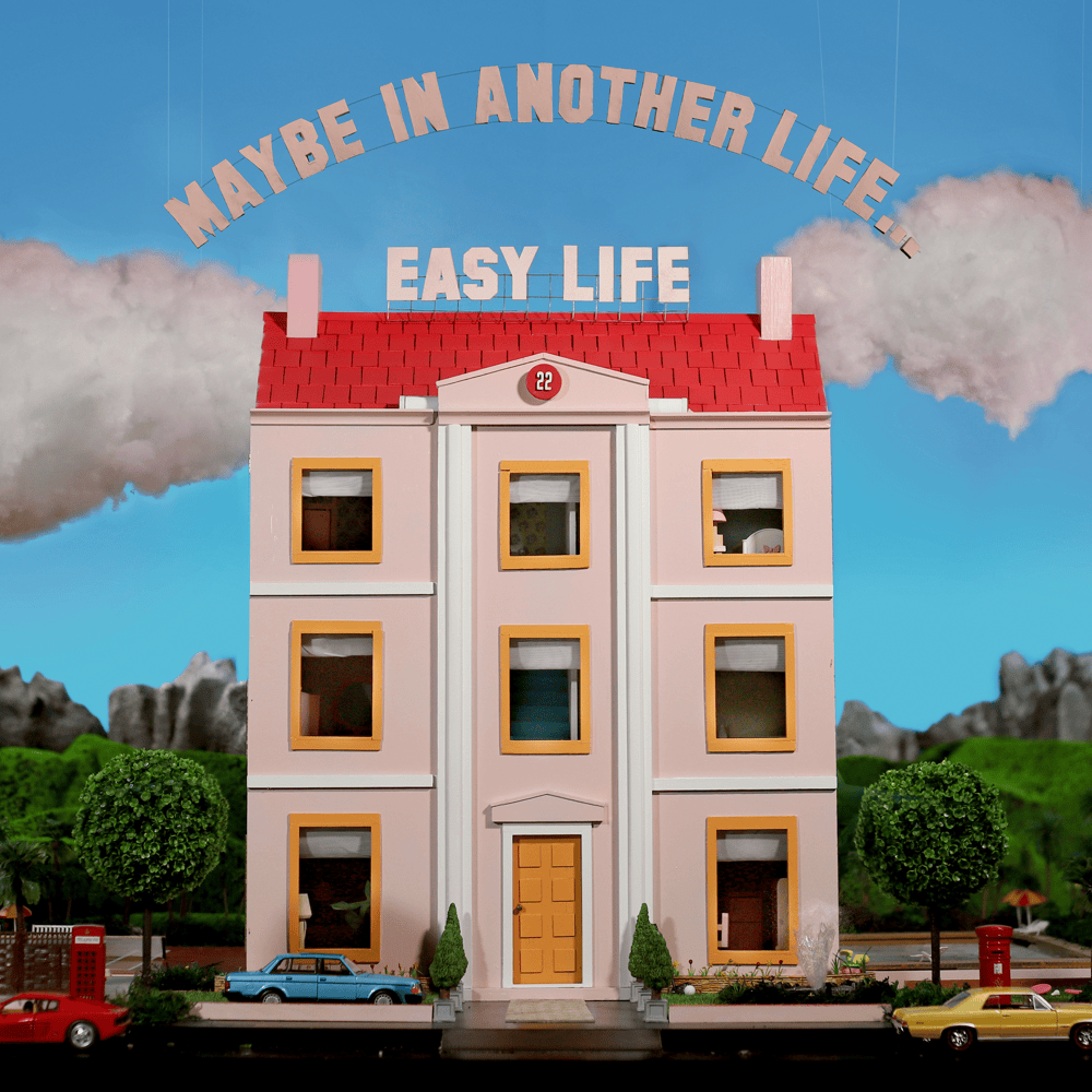 Cover image for MAYBE IN ANOTHER LIFE...