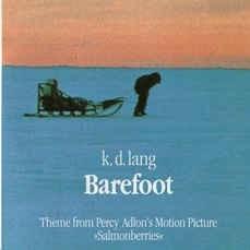 Cover image for Barefoot