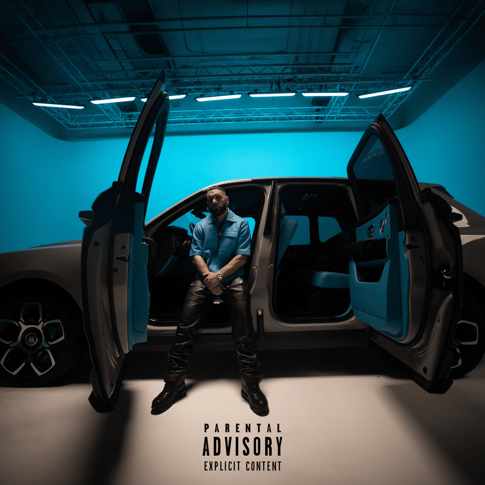 Album cover art for "Keine Absicht" by Fler