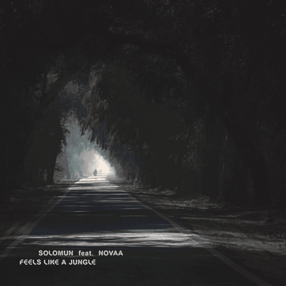 Cover image for Feels Like A Jungle (Single)