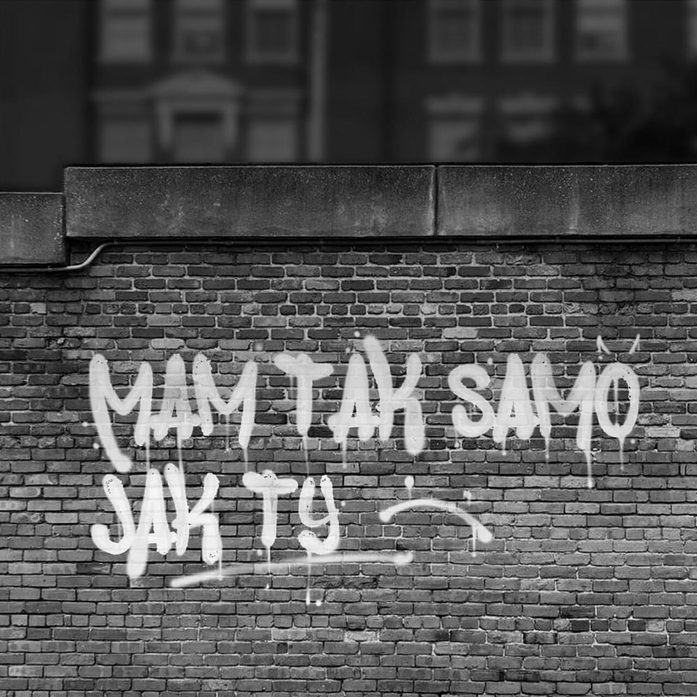 Album cover art for "Mam Tak Samo" by Floral Bugs