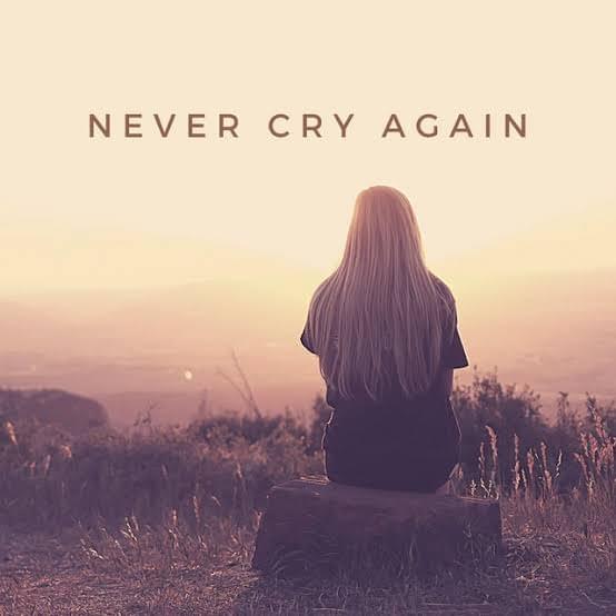Album cover art for "Never Cry Again" by +Mas Label