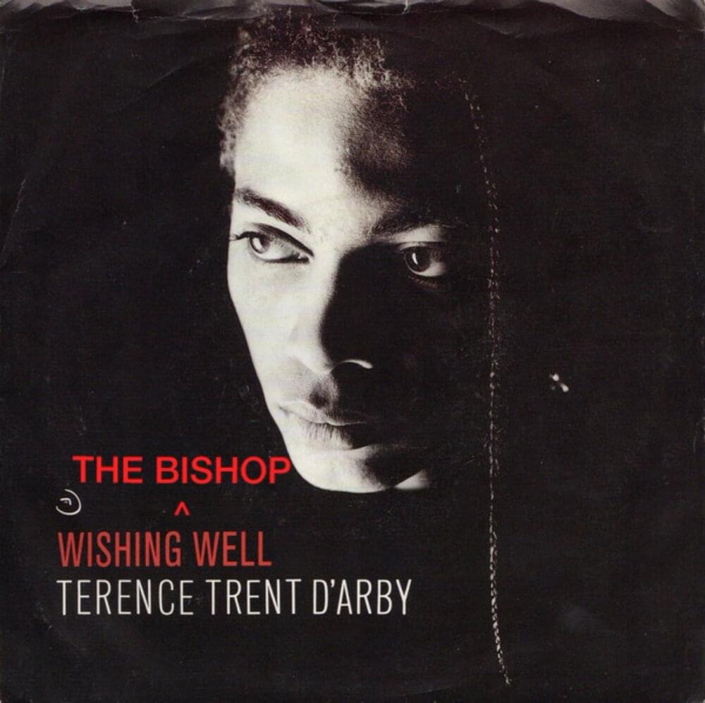Album cover art for "Wishing Well" by Terence Trent D’Arby