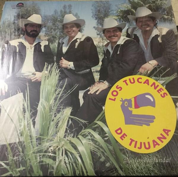 Album cover art for "Tú Eres" by Los Tucanes De Tijuana