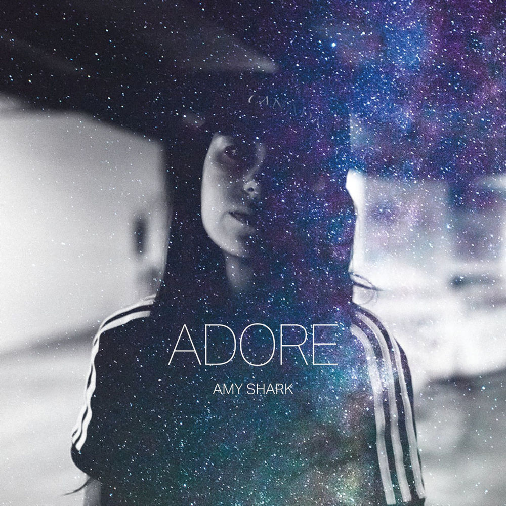 Album cover art for "Adore" by triple j