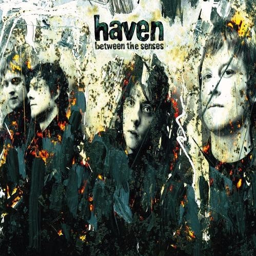 Cover image for Between the Senses