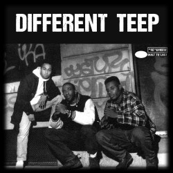 Cover image for Different Teep