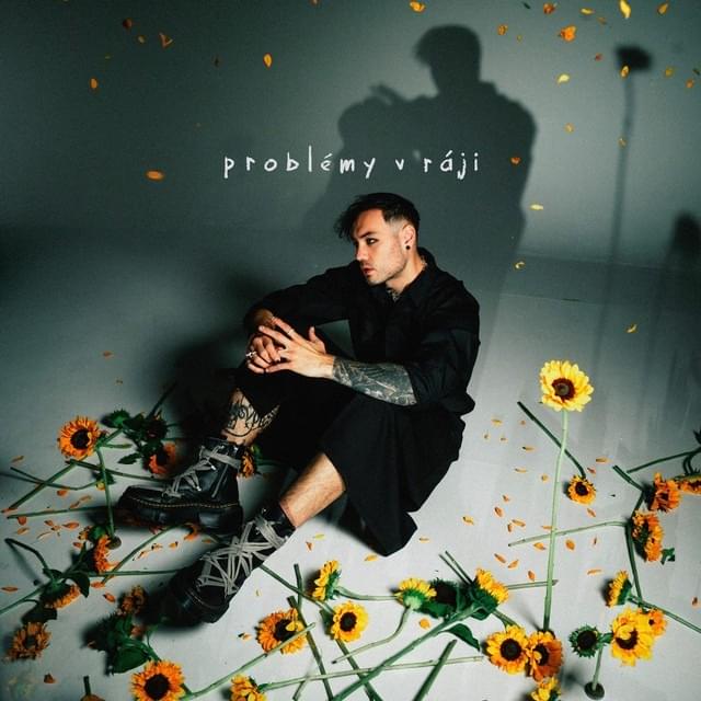 Cover image for problémy v ráji (deluxe)