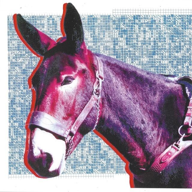 Processed by the Boys by Protomartyr