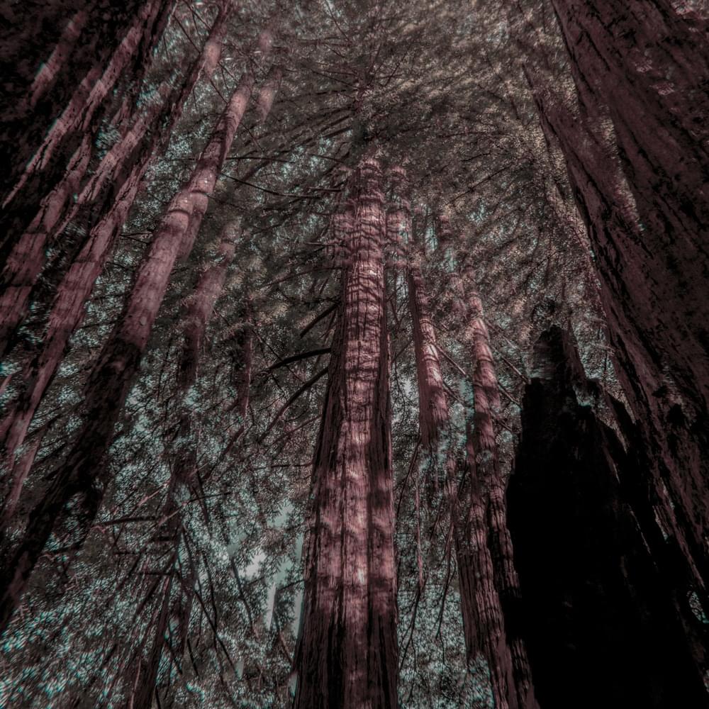 Fractals by Beth Orton