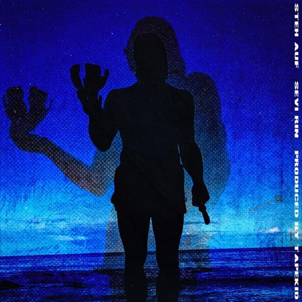 Album cover art for "Steh auf" by Sevi Rin