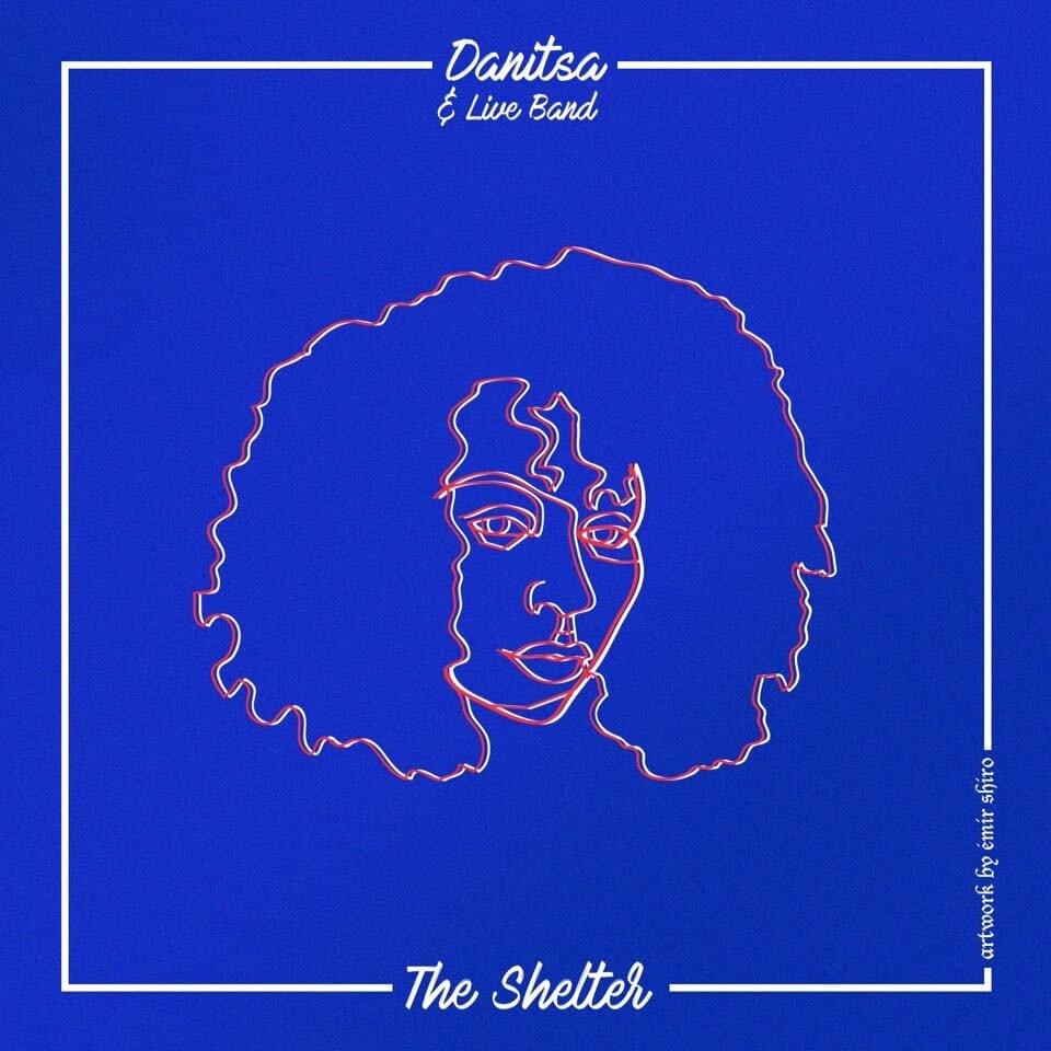 Cover image for The Shelter