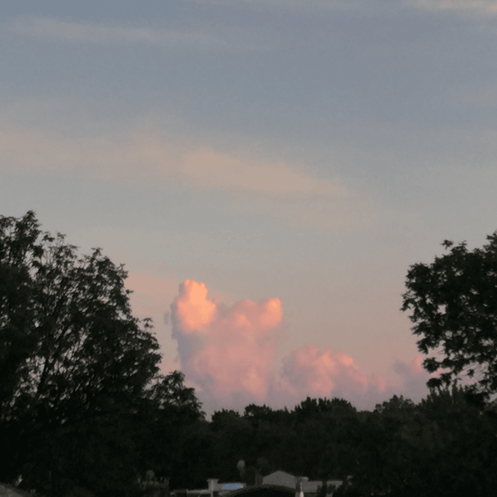 Cover image for Five Sunsets