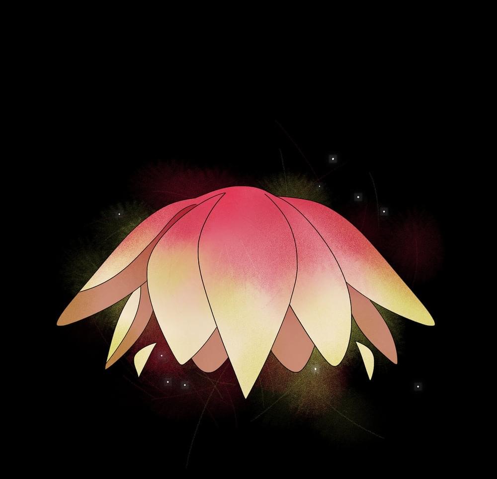 Album cover art for "Mirror Flower" by Jim Nopédie