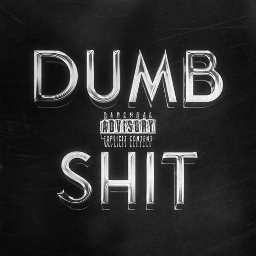 Album cover art for "DUMBSHIT" by Bktherula