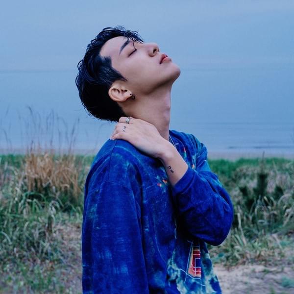 Cover image for DAVII (다비)