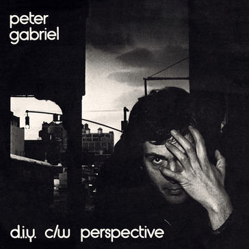 Album cover art for "Perspective" by Peter Gabriel