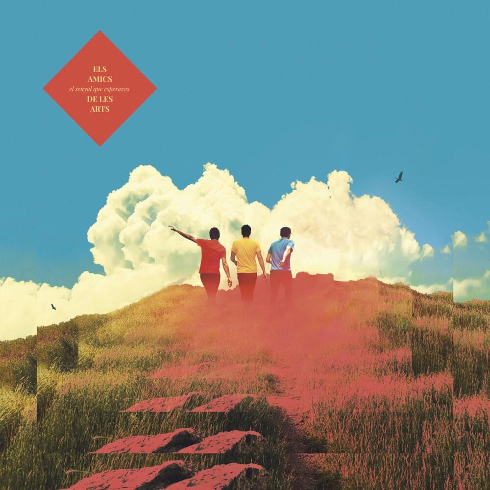 Cover image for El senyal que esperaves