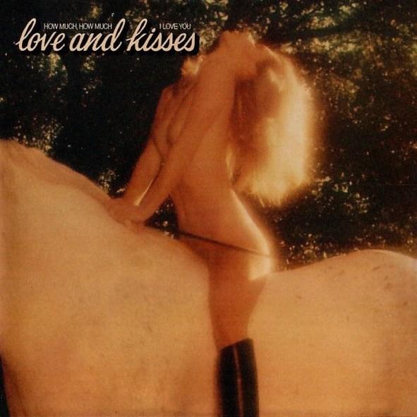 Cover image for How Much, How Much I Love You