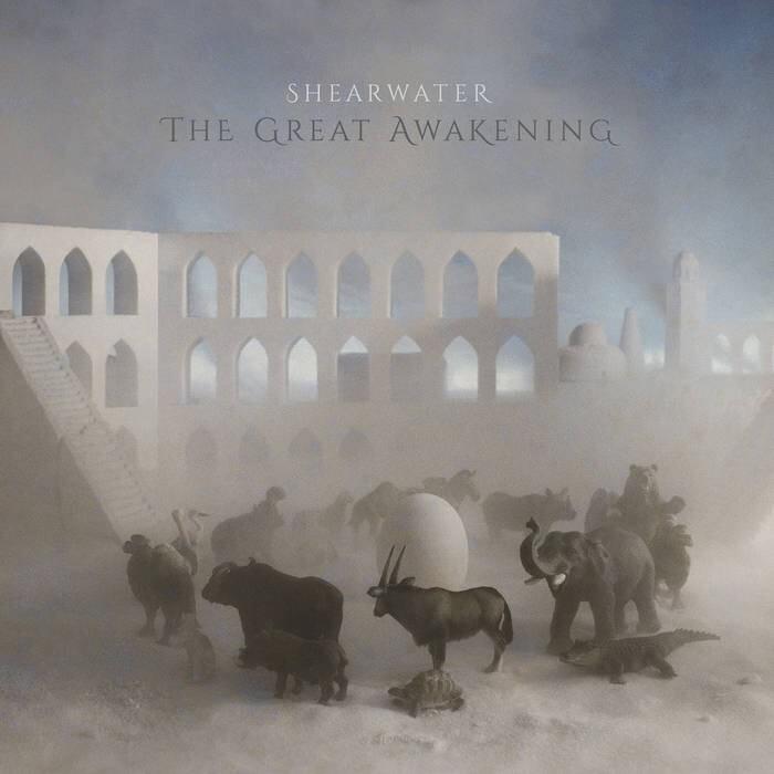 Everyone You Touch by Shearwater