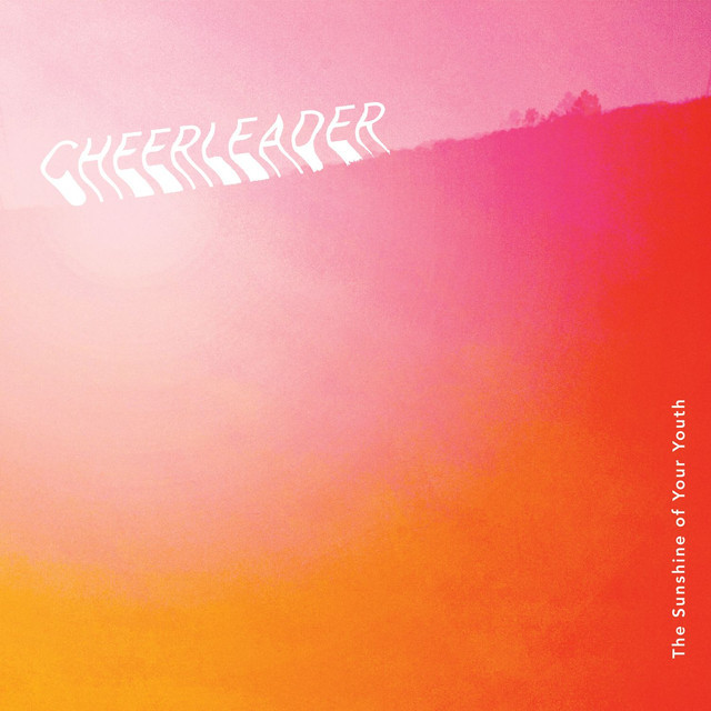 Little Bird by Cheerleader