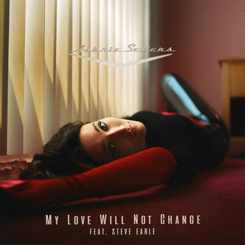My Love Will Not Change by Aubrie Sellers