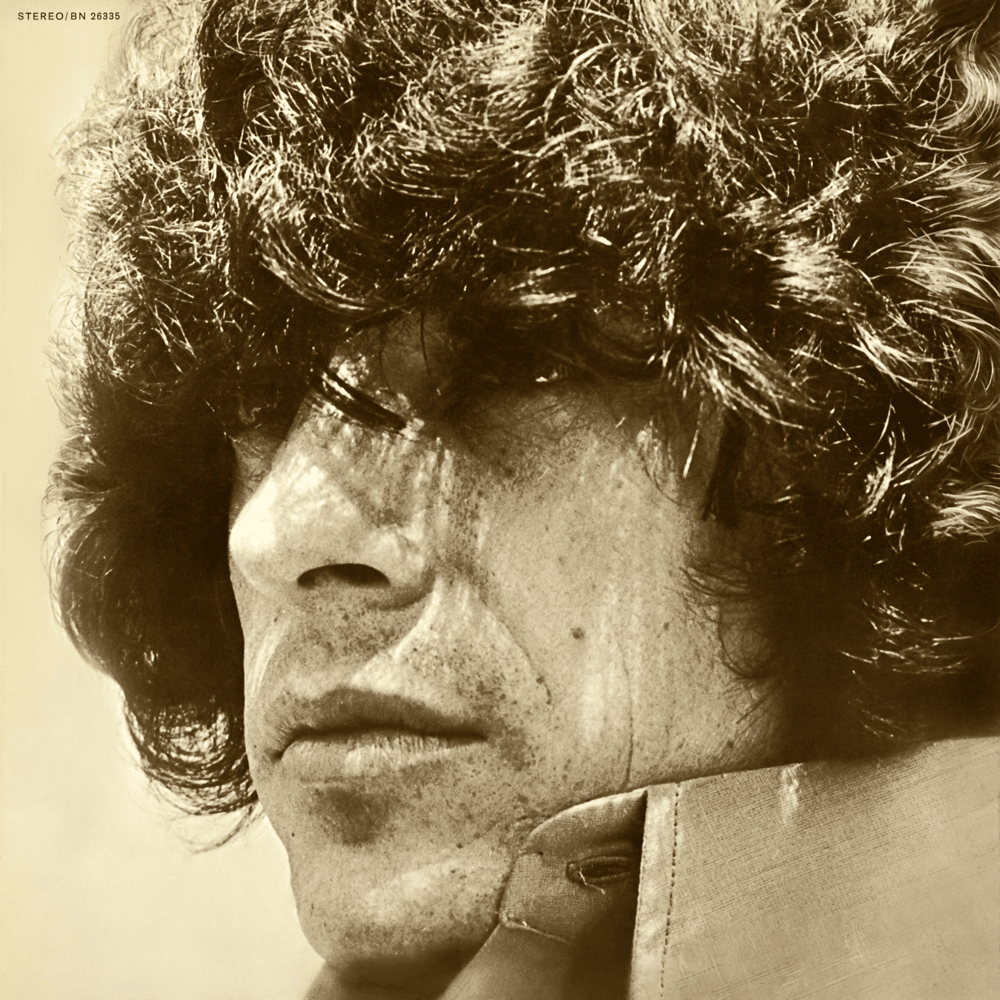 Cover image for Dino