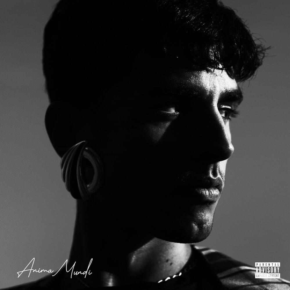 Cover image for Anima Mundi