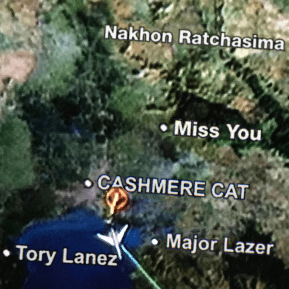 Album cover art for "Miss You" by Cashmere Cat