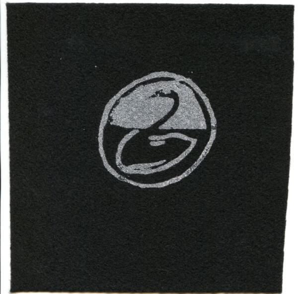 Album cover art for "Ice and Rings" by The Black Swan Network