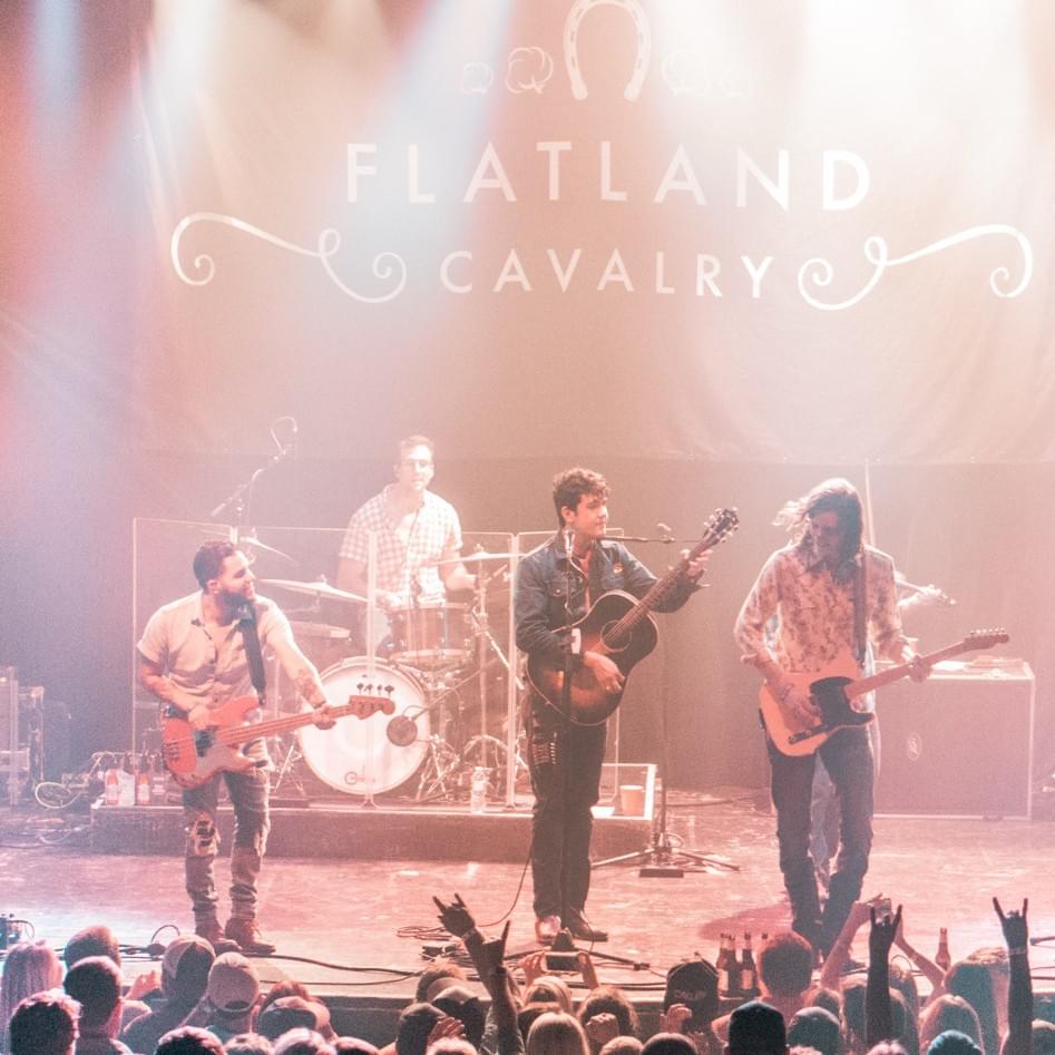 Cover image for Flatland Cavalry