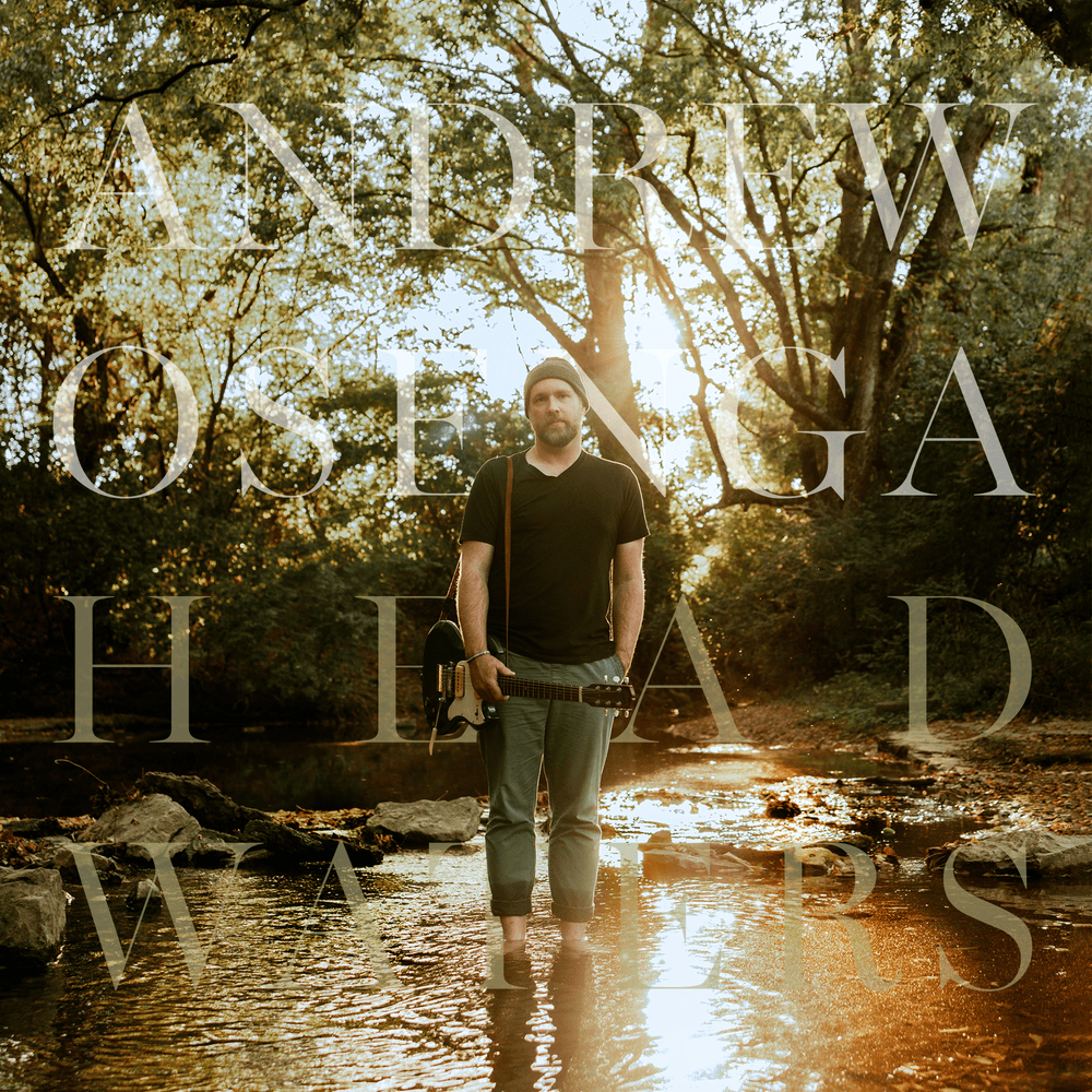 Cover image for Headwaters