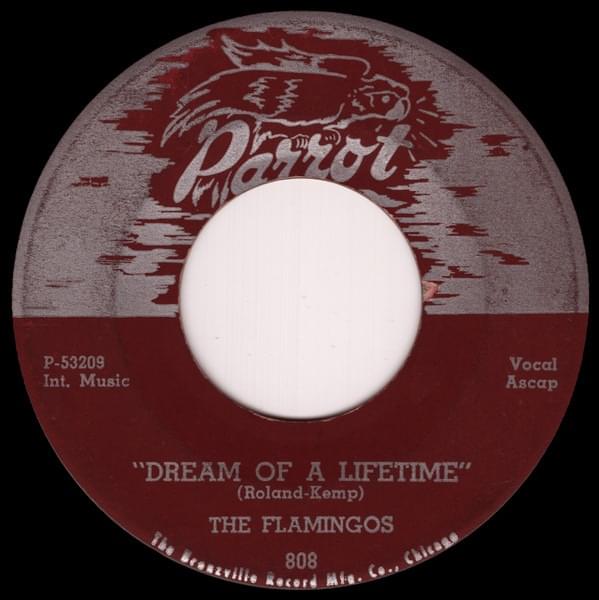 Album cover art for "Dream Of A Lifetime" by The Flamingos