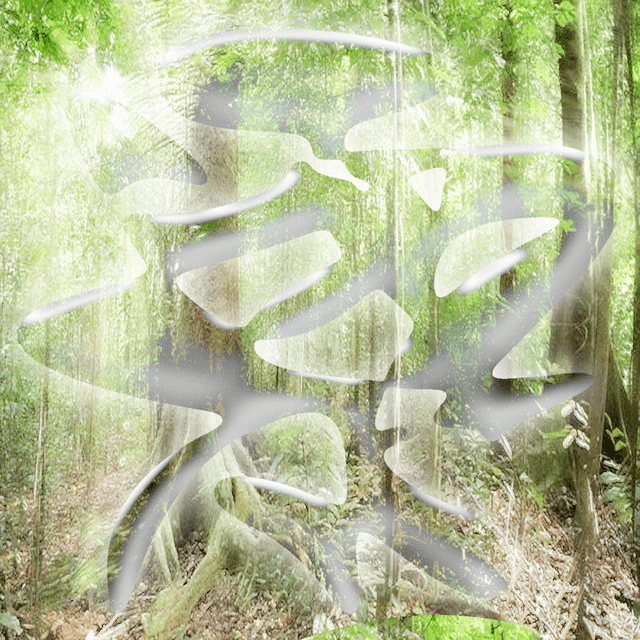Cover image for Tree