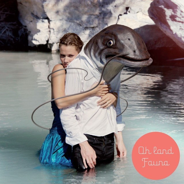 Cover image for Fauna