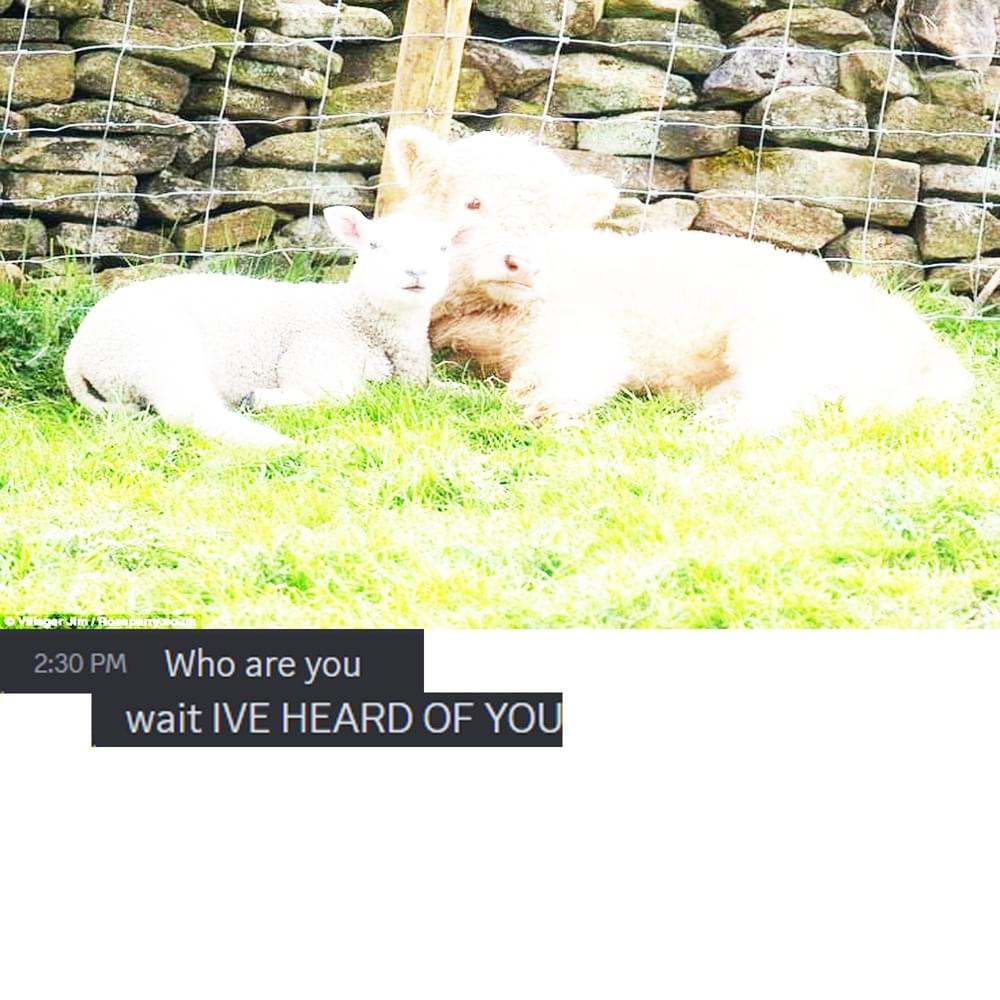 Album cover art for "WE ARE GOING TO HURT YOU" by Knock Monsterr