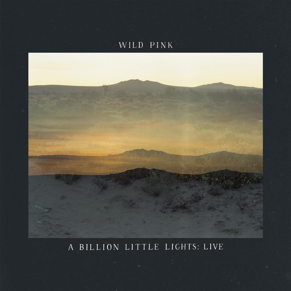 Album cover art for "Amalfi (Live)" by Wild Pink