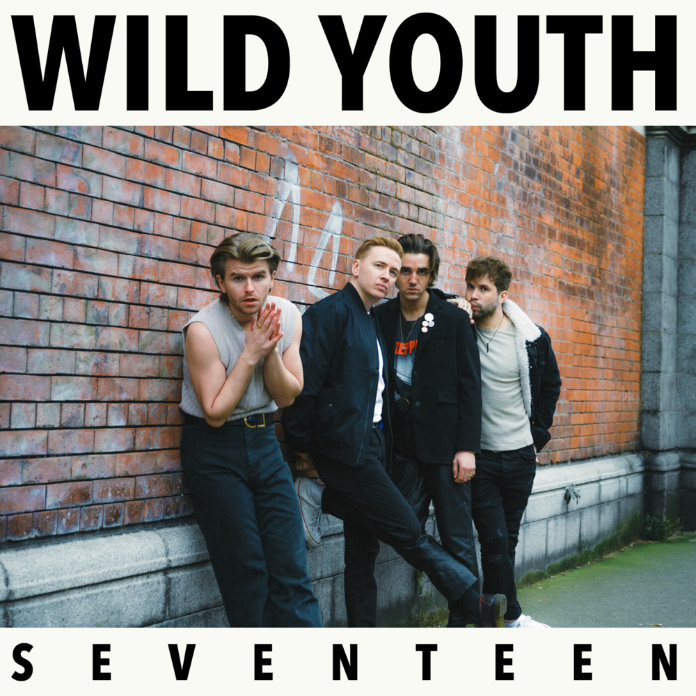 Seventeen by Wild Youth