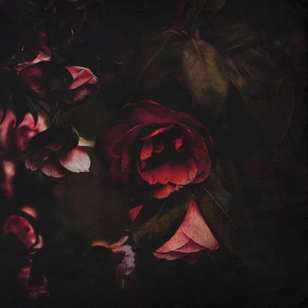 Flowers by Chip