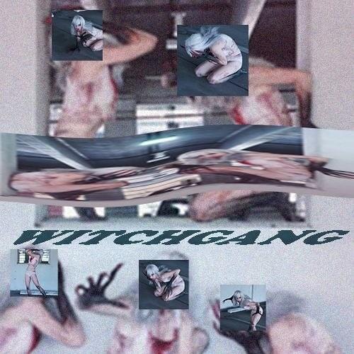 Cover image for Witches, Mood Swings