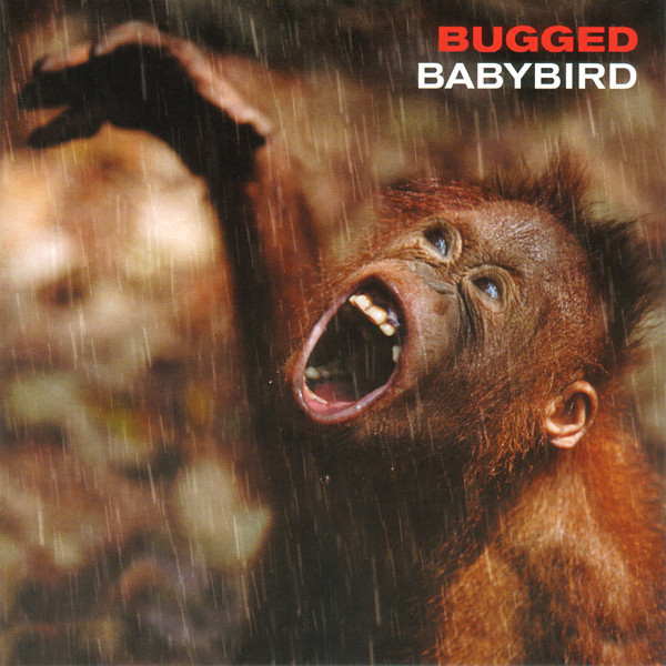 Cover image for Bugged