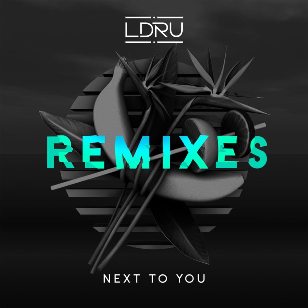 Next To You (Barely Alive & Virtual Riot Remix) by L D R U