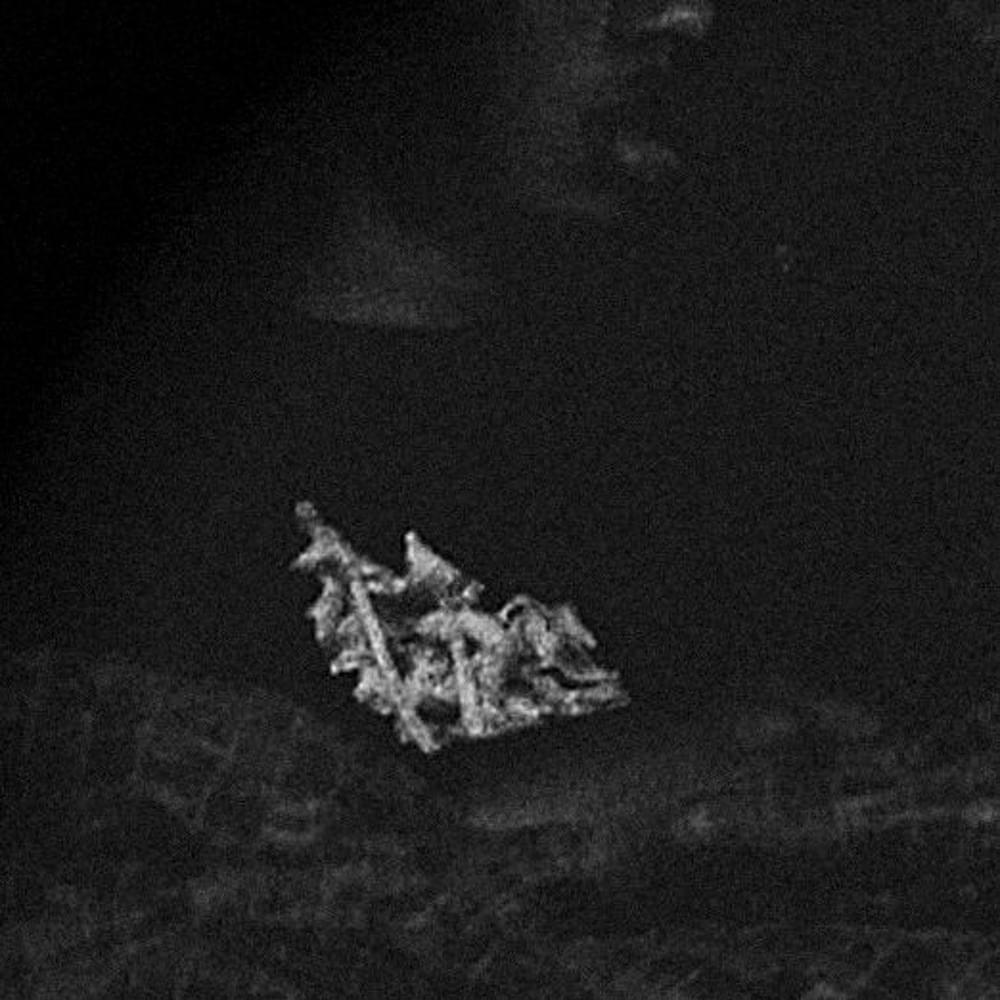 Album cover art for "WHEN THE LEAVES FELL [The Virus Remix]" by The Virus and Antidote